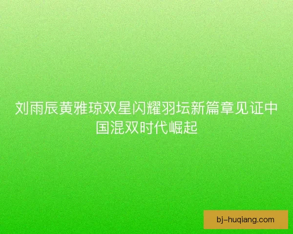 刘雨辰黄雅琼双星闪耀羽坛新篇章见证中国混双时代崛起